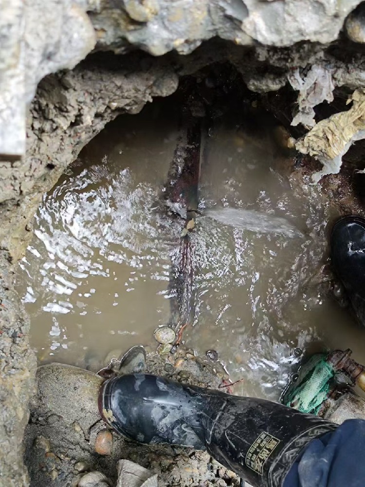 洛龙地区绿化水管漏水检测维修